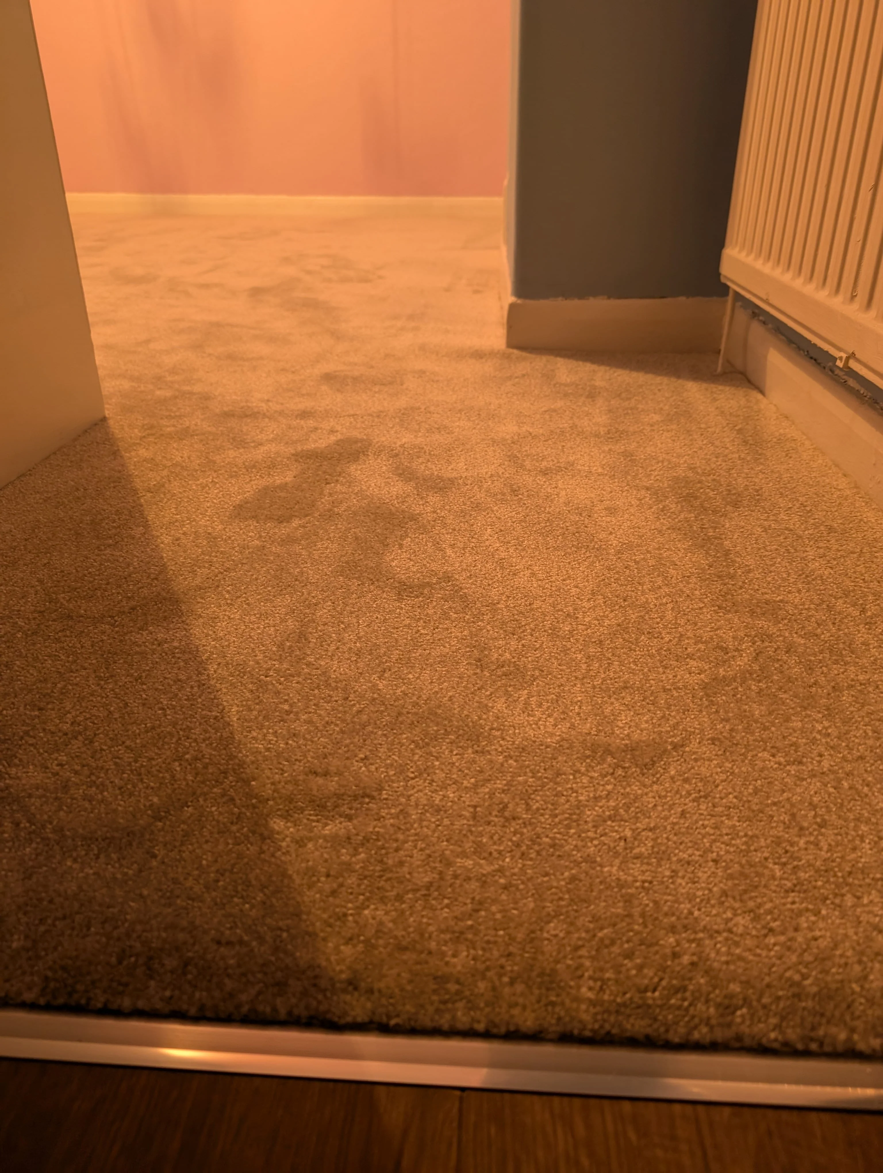 Product image 111